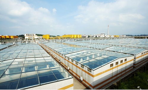 中國食品制造大王 調(diào)味品界的茅臺，億萬富豪工廠的“不打醬油”經(jīng)營哲學(xué)